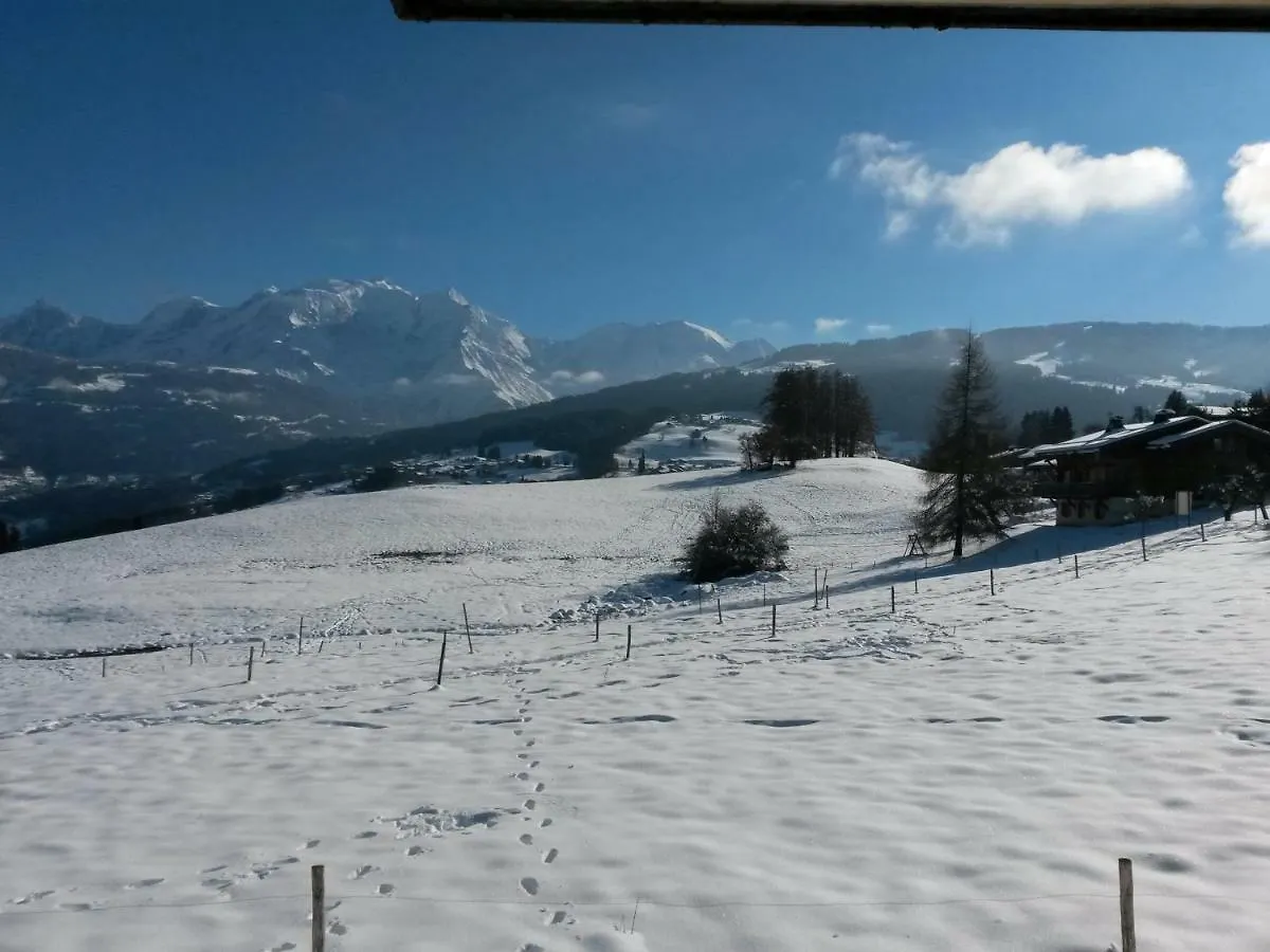 Rez De Chaussee Tres Calme Vue Mont-Blanc Combloux 0*,  France
