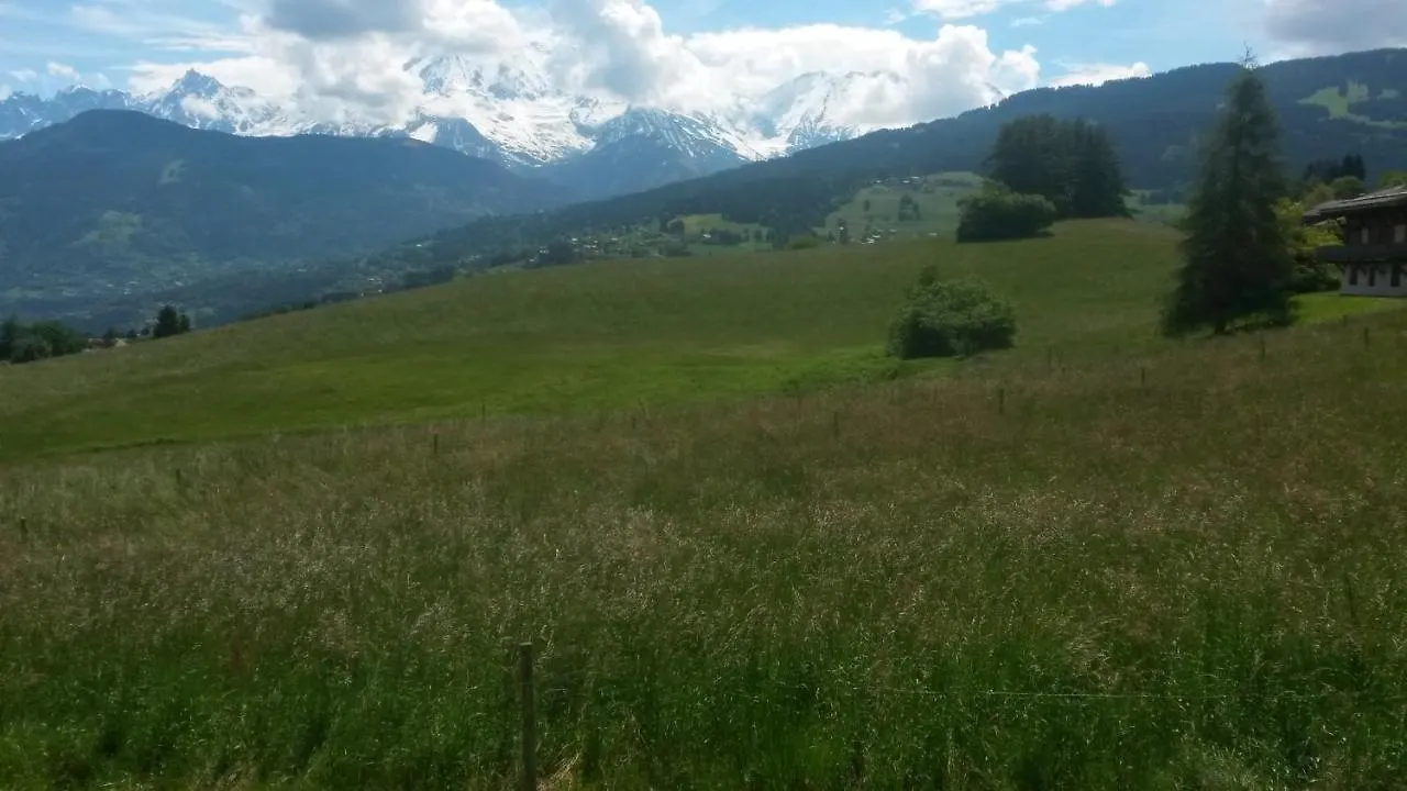 Rez De Chaussee Tres Calme Vue Mont-Blanc Combloux 0*,